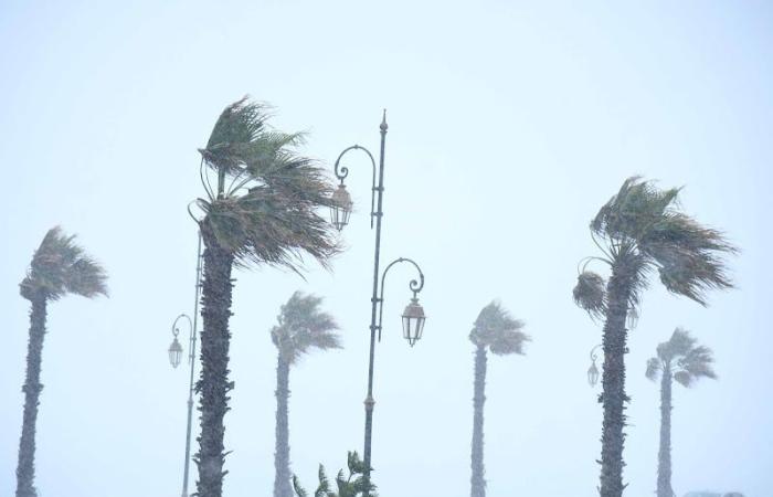 تأثيرات منخفض "جانا" على المغرب